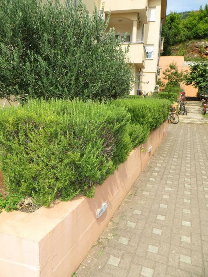 Apartman Mario Cres Buitenkant foto